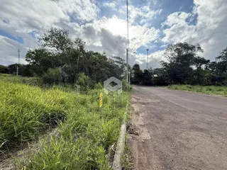 Paisagem rural com estrada de terra e vegetação densa ao redor.