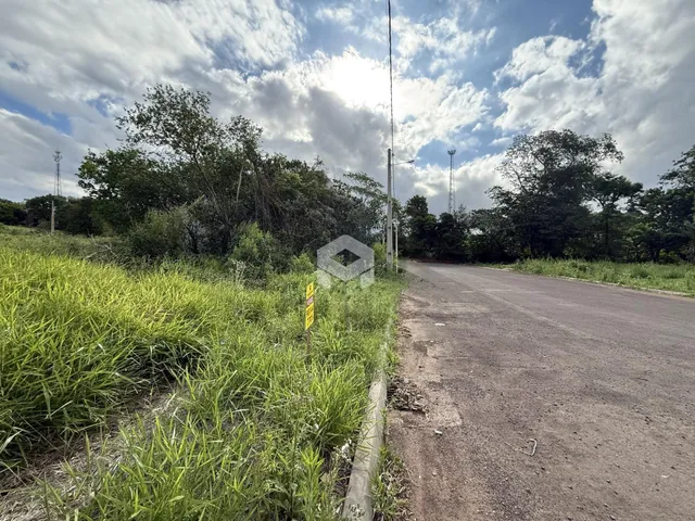 Paisagem rural com estrada de terra e vegetação densa ao redor.