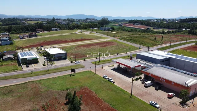 Terreno, foto 5