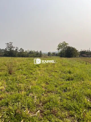 Vista de um campo aberto com grama verde sob um céu claro.