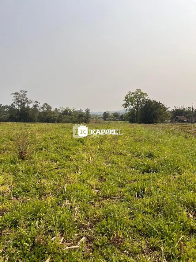 Vista de um campo aberto com grama verde sob um céu claro.