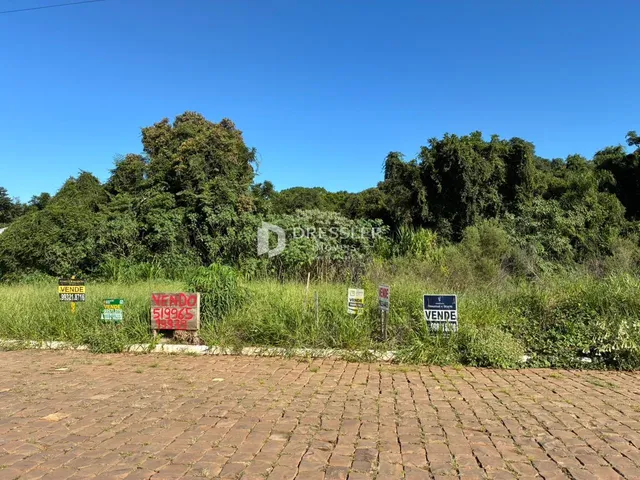 Vista externa de uma propriedade com vegetação densa e pavimento de tijolos.