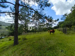 Área rural, foto 15