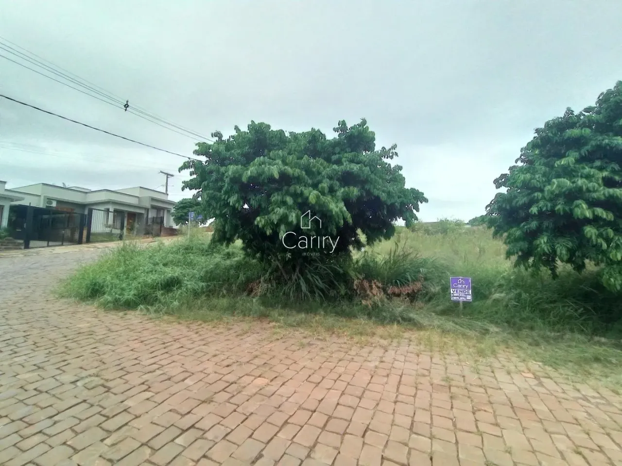 Terreno, foto 1