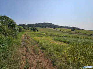 Área rural com 3 dormitórios, foto 8