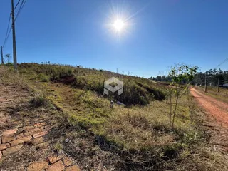 Paisagem de terreno com vegetação e caminho de terra em Lajeado.