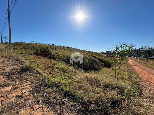 Paisagem de terreno com vegetação e caminho de terra em Lajeado.