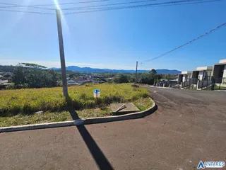 Terreno, foto 3