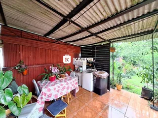Área externa com mesa e plantas sob uma estrutura de telhado.