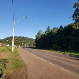 Vista de uma estrada rural com vegetação ao longo da via.