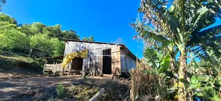 Foto da fachada de uma estrutura de madeira rústica em uma área com vegetação densa.