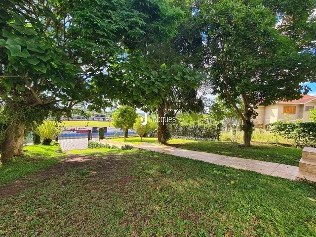 Vista externa de um jardim com árvores e gramado verde.