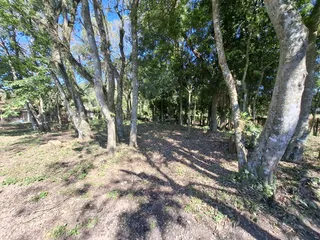 Casa com 1 dormitório, foto 5