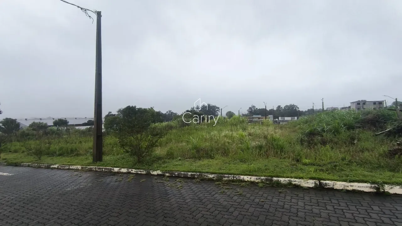 Terreno, foto 1