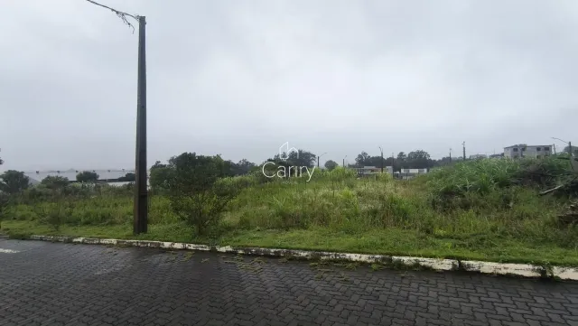 Terreno