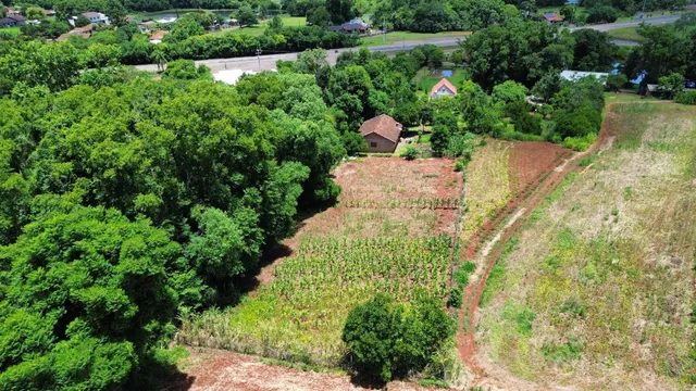 Vista aérea mostrando uma área de mata densa e um campo cultivado.