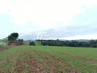 Vista aérea de uma área de campo verde com vegetação e árvores ao fundo.