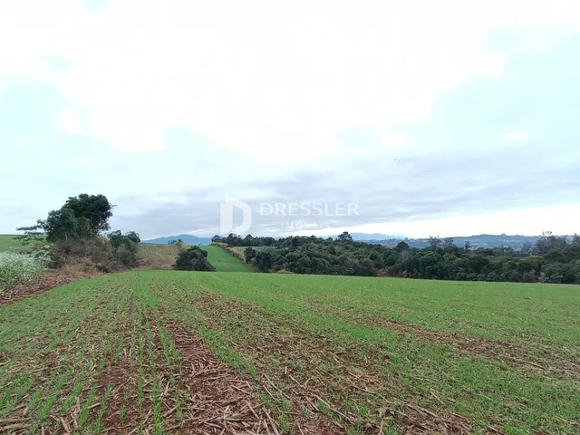 Vista aérea de uma área de campo verde com vegetação e árvores ao fundo.