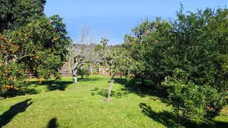 Área rural, foto 7