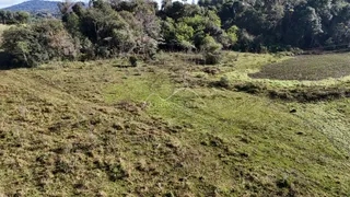 Paisagem de campo gramado com vegetação densa ao fundo.