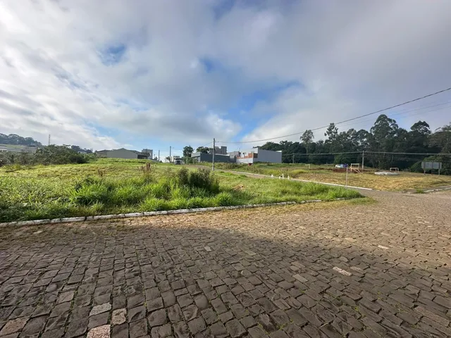 Vista externa de uma área gramada com pavimento de paralelepípedos.