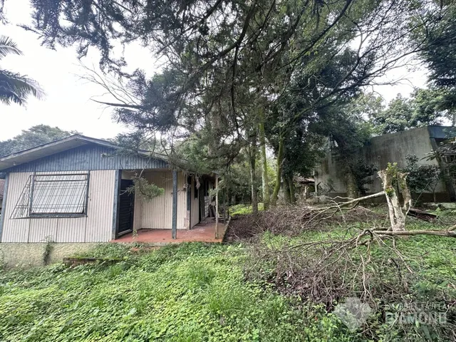 Terreno, foto 2