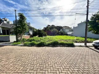 Terreno, foto 1