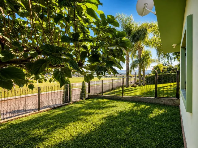 Vista de um jardim gramado com cerca e vegetação ao ar livre.