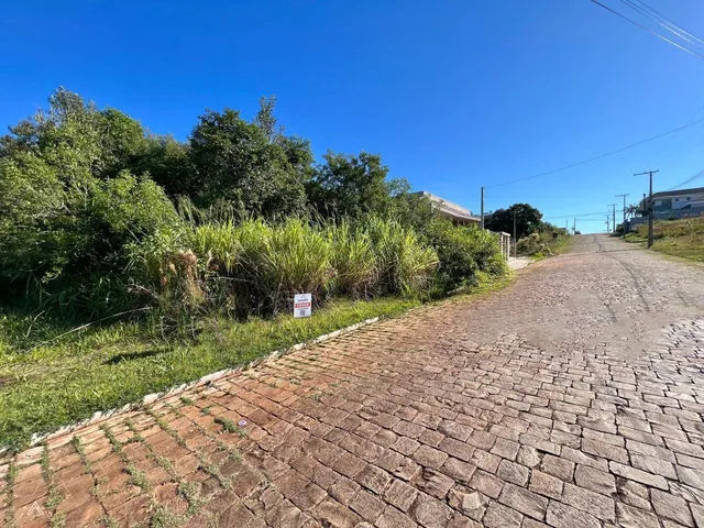 Terreno, foto 2