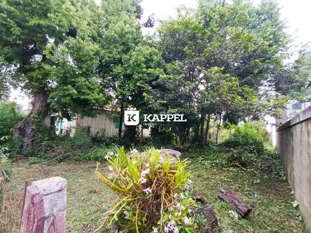 Terreno, foto 2