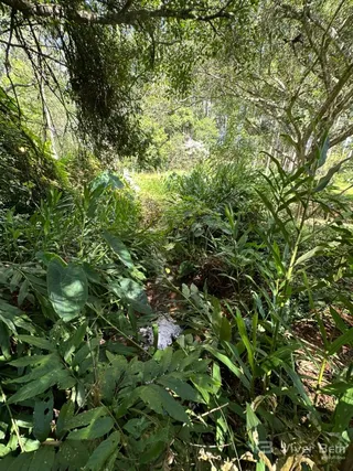Área rural, foto 11