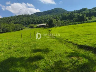 Área rural com 3 dormitórios, foto 8