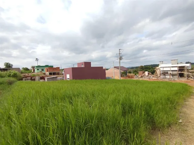 Terreno, foto 4
