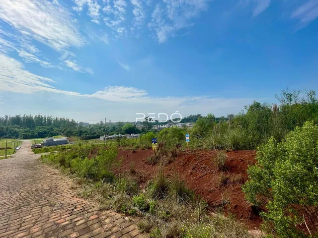 Terreno, foto 2