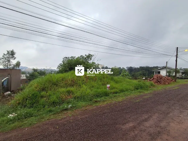 Vista externa de um terreno com vegetação alta e materiais de construção no fundo.