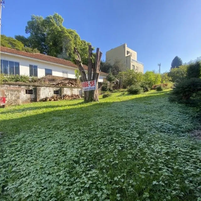 Terreno, foto 2