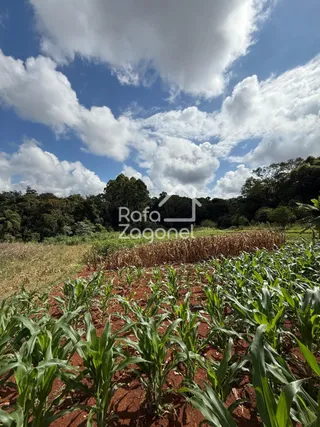 Área rural, foto 28