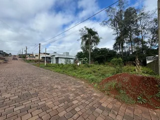 Vista da rua com casas e vegetação em Lajeado.