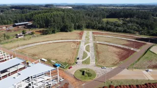 Terreno, foto 10