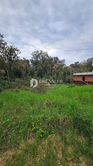 Vista externa da propriedade com vegetação densa e grama alta.