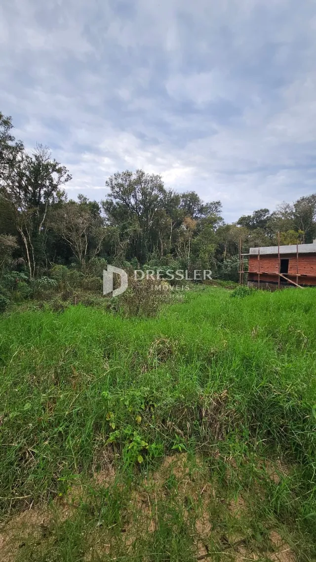 Vista externa da propriedade com vegetação densa e grama alta.