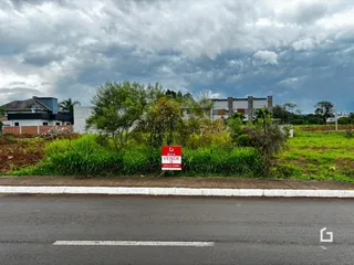 Vista externa de uma propriedade com vegetação e uma estrada no primeiro plano.