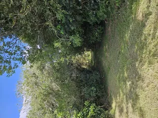 Área rural, foto 4
