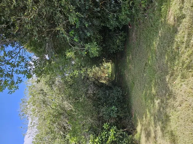 Área rural, foto 4
