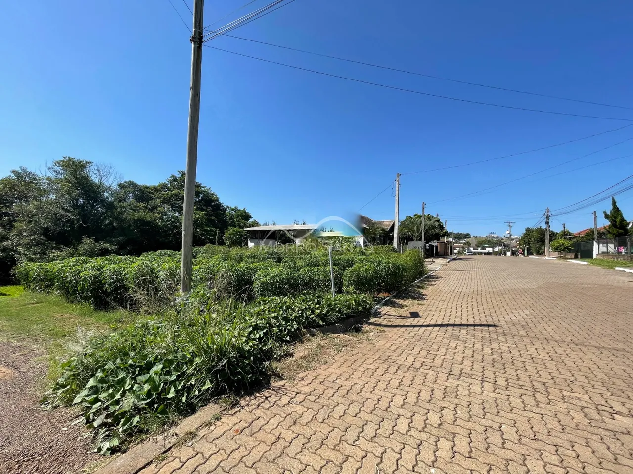 Vista externa da propriedade mostrando vegetação densa e uma estrada pavimentada.