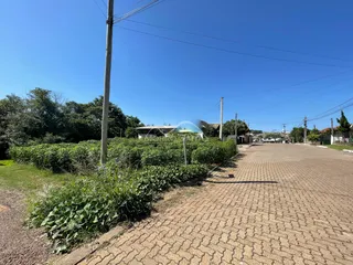 Vista externa da propriedade mostrando vegetação densa e uma estrada pavimentada.