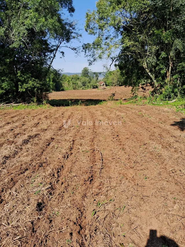 Área rural, foto 4