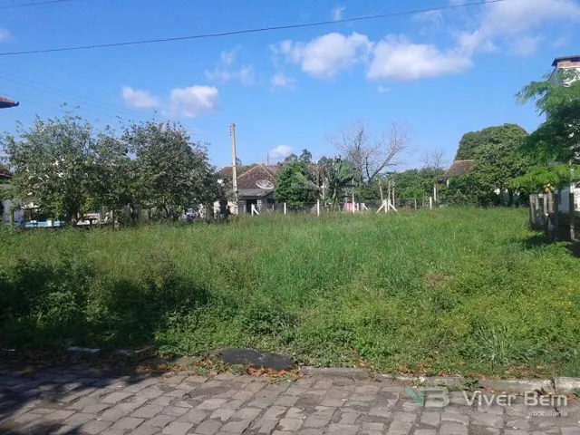 Terreno, foto 3
