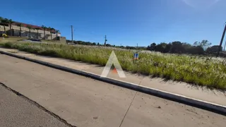 Terreno, foto 3