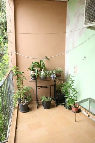 Parede interna com piso de cerâmica e plantas em um ambiente residencial.
